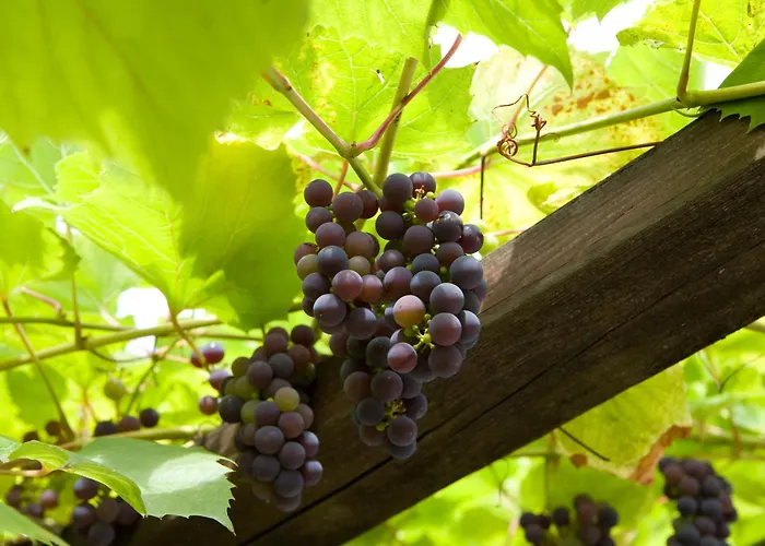 Hotel Fletcher La Blanche